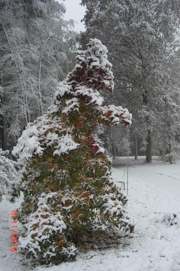 Ferienhaus Huus Ton Witten Barg Undeloh Exterior foto